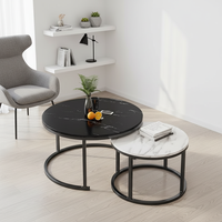 Table basse moderne en acier inoxydable, 2 pièces, salon, appartement, hôtel, utilisation légère, durable, facile à nettoyer, meubles de maison