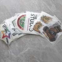 Autocollants et étiquettes en vinyle 3D DTF A3 Plastisol 60CM pour T-shirts, personnalisables avec logo de marque et motif dessin animé, pour la vente en gros