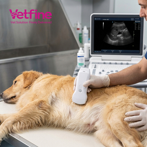 Alat USG Hewan 3 in 1 Color Doppler Wireless <span class=keywords><strong>Ultrasound</strong></span> Probe Koneksi Wifi dan USB - Product Image 2