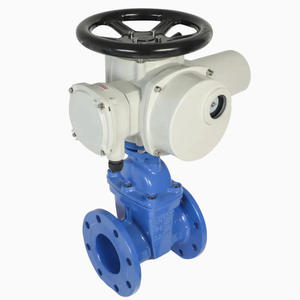 Válvula de Compuerta de Acero Inoxidable de Baja Temperatura para Gas, Agua y Petróleo - Product Image 1