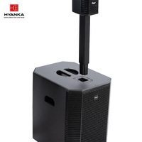 Enceinte colonne active HYANKA S-1203 12 pouces, classe D, 350W + 150W RMS, DSP, système d'enceintes colonne active