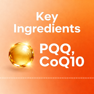 OEM Label Health Support PQQ & COQ10 200mg PQQ Herz gesundheits ergänzung zur Unterstützung der Energie-und kognitiven Funktion - Product Image 2