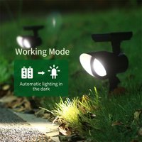 Lampes solaires d'extérieur étanches Rts, blanc froid et blanc chaud, IP65, éclairage paysager, pelouse, projecteur LED, lumière de jardin solaire réglable