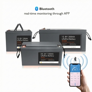 Batería Lithtech OEM Económica Lifepo4 12v 24v 36v 48v 200AH, Baterías de Iones de Litio Recargables para Automóviles - Product Image 4