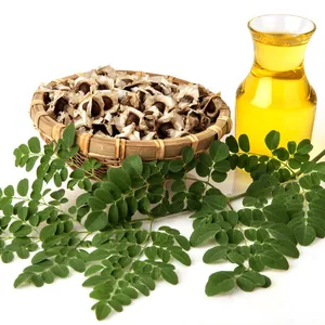 Manufacturer supply Pure and Natural Moringa Oil Price Therapeutic Grade Skin Care Moringa Oleifera Seed Oil