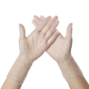Gants jetables transparents en vinyle PVC sans <span class=keywords><strong>poudre</strong></span> pour service alimentaire Gants en vinyle de qualité alimentaire Intco - Product Image 6