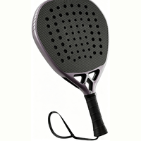 Ensemble de raquettes de padel approuvé pour le pickleball, raquettes de pickleball légères, lot de 2, pour 2 pickleball en extérieur, 2 pickleball en intérieur
