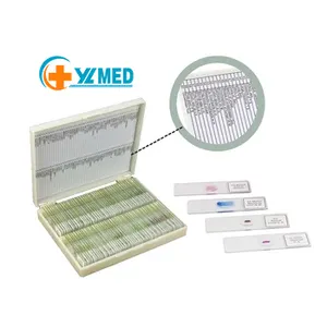 Biological slide pure manual manufacturing laboratory training human pathology slide teaching instrument