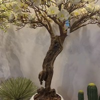 Pohon Magnolia Buatan Putih untuk Dalam/Luar Ruangan, Bahan Kayu, Bunga Sakura Palsu, Tahan UV, Awet untuk Restoran, Hotel, Rumah