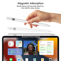 Pena Stylus Aktif untuk iPad, Anti-Sentuhan Telapak Tangan, Daya Tarik Magnetik, Tipe C, Dapat Diisi Ulang, Ujung Pena Dapat Diganti, OEM, Bersertifikasi APP CE
