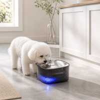 Fontaine à eau pour animaux de compagnie de grande capacité 9L SHT703 en acier inoxydable 304, distributeur d'eau automatique pour chat et chien avec pompe filtrante silencieuse