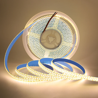 Penjualan Terbaik SMD2835 lampu Strip LED 6000K Ra80 siang hari USB IP20 5 tahun garansi 120LEDs/m DC12V/24V dalam dan luar ruangan