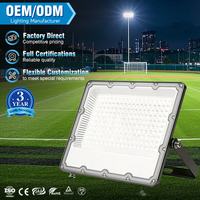 Directo de Fábrica, Lámpara LED para Exteriores, Jardín, Estadio, de Aluminio Fundido a Presión, 10w 20w 30w 50w 100w 150w 200w 300W