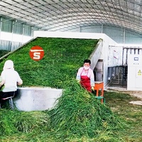 Sécheuse à épices de 15 tonnes de capacité pour la séchage de la laurier, du romarin, du persil, du basilic et du thym