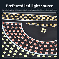 Nouveauté : Panneau lumineux décoratif LED universel pour voiture, effet œil de démon, 11 modes d'éclairage personnalisables, 1W