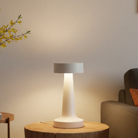 Lampe de table compacte en forme d'haltère, LED rechargeable multicolore, éclairage d'ambiance pour restaurant et bistrot
