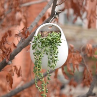 Mini pot de fleurs suspendu en céramique blanche en forme de tambour pour plantes artificielles