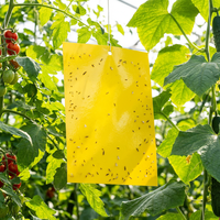 Piège adhésif imperméable pour la ferme, plaque de colle double face pour insectes, pour mouches des fruits/mouches blanches/thrips