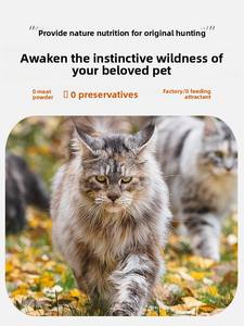 Galettes de <span class=keywords><strong>viande</strong></span> crue lyophilisées pour chatons et chats adultes-Collations pour nettoyer les dents avec de la <span class=keywords><strong>viande</strong></span> d'<span class=keywords><strong>autruche</strong></span> cerf lapin - Product Image 4