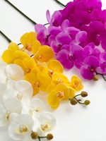 Fleurs d'orchidée papillon Phalaenopsis artificielles de haute qualité, faites à la main, luxe léger, latex, 9 têtes, toucher réel, Noël, mariage