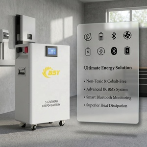 Module de batterie au phosphate de fer et de lithium LiFePO4 BSY 51,2 V 300 Ah, monté sur rack, pour système EV/UPS/hors réseau - Product Image 4