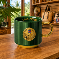 Mug en céramique souvenir du Costa Rica avec motif toucan et volcan, personnalisable, tasse à café en porcelaine, OEM ODM, vente en gros