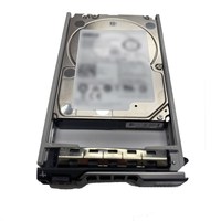 AC974198 Disco Rigido Interno Enterprise da 20TB SATA ISE 6Gbps 7.2K 512e Hot-Plug 20TB 7200rpm SATA 3.5 Pollici per Server