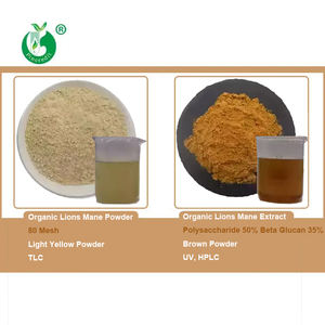 Herícum Erinaceus orgánico, extracto de Lions Mane en polvo, precio a granel - Product Image 2