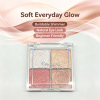 Palette de fards à paupières mats LSFAIRY ES173 Shimmer 4 couleurs, avec miroir et pinceau, marque privée, OEM, vente en gros