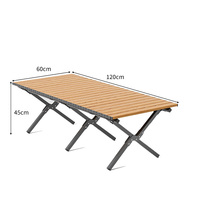 Kit de mobilier d'extérieur portable au design moderne, chaises pliantes de pique-nique et tables de plage pliables pour le camping