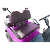 Voiture de golf électrique tout-terrain 2 places, véhicule polyvalent, patrouille des réserves naturelles, pneus tout-terrain, batterie au lithium