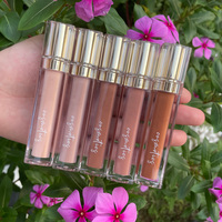Oem low quantité minimale de commande dropshipping vendeurs cosmétiques brillant biologique parfumé brillant à lèvres marque privée