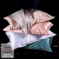 16/19/22/25 Momme Enveloppe 100% Taie d'oreiller en soie de mûrier Lavable Luxe Pure