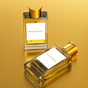 Envío DDP, Spray Corporal Dorado de 50m, Perfume de Vainilla, Spray Corporal Perfumado, Perfume de Larga Duración, Colonia - Product Image 5