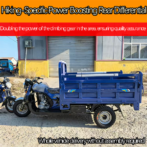 Heavy Agricultural Open Cargo Tricycle Thickened Steel Bed Single Cylinder 4-stroke <b>Gasoline</b> Motorized High Payload Capacity 43 - Product Image 4
