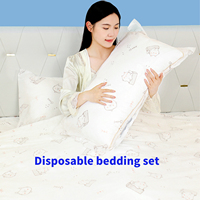 Haute qualité jetable Simple Double housse de couette imprimé taie d'oreiller ensemble 3 pièces en gros personnalisé Non-tissé voyage literie hôtel
