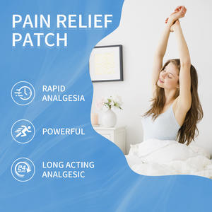 무릎 및 등 관절염 관절 통증 완화 젤 관절 통증 웰빙 패치를위한 베스트 셀러 허브 중국어 석고 - Product Image 3