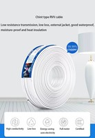 Cable de Cobre CHINT RVV de 2.5mm de Alta Conductividad con Aislamiento de PVC para Electrodomésticos
