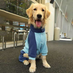 Pakaian anjing modis musim gugur jaket anjing lengan panjang anak anjing pakaian hewan peliharaan Musim Dingin - Product Image 2