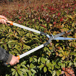 Cisailles à haies Lhj225 45-60 cm, lame en acier inoxydable, manche en aluminium, couleur orange, pour l'élagage du jardin - Product Image 1