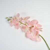 Orchidée papillon artificielle en soie faite à la main de haute qualité pour la décoration de la maison, des vases, des arrangements floraux de mariage, vente en gros