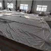 Sacs de sable de géotextile de matelas de géotextile de béton formé par tissu pour le contrôle d'inondation et la prévention d'érosion