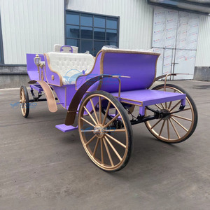 Populaire Carrosse de Mariage Victoria Électrique de Luxe Classique en Fer, Type Carrosse à Chevaux, avec Couleur Personnalisable, à Vendre - Product Image 6