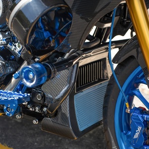 Pieza de Fibra de Carbono, Cubierta de Levas, Panel Resistente al Calor del Motor, Placa de Matrícula, Deflector de <span class=keywords><strong>Aire</strong></span>, Marco de Luz de Señal de Giro, Compatible con Motocicletas Harley - Product Image 3