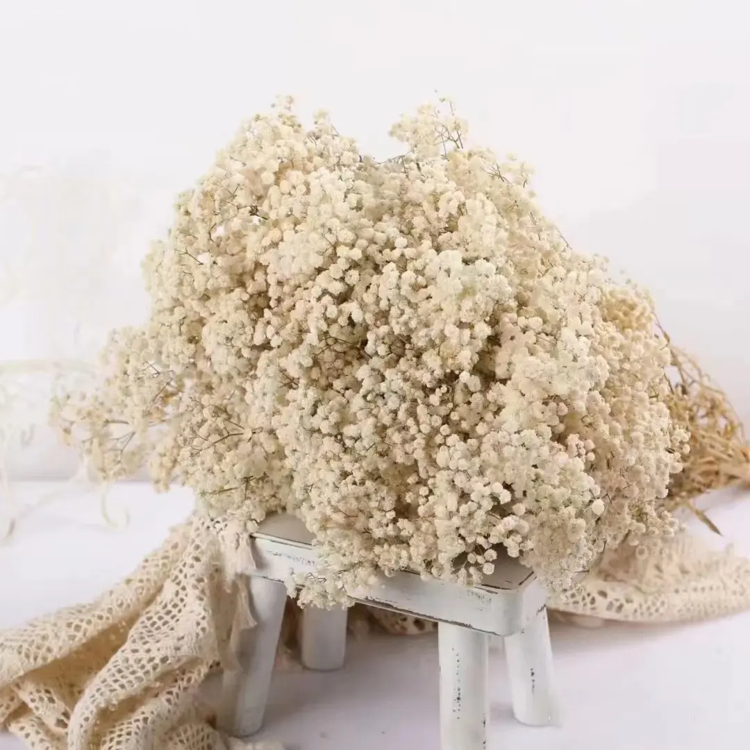 Decorazione di nozze fiori vendita calda respiro del bambino conservato fiori secchi economici Babys Breath