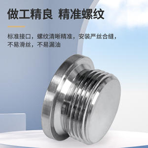 Bouchon de tuyau hydraulique hexagonal interne galvanisé en acier au carbone à 246 points, vis de scellement ED pour tuyaux en fer - Product Image 5