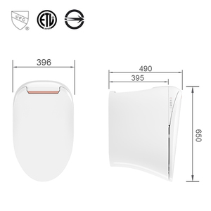 TEJJER Bidet <span class=keywords><strong>de</strong></span> <span class=keywords><strong>toilette</strong></span> en céramique une pièce à chaleur instantanée, blanc et or <span class=keywords><strong>rose</strong></span> - Product Image 6