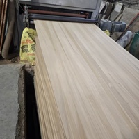 Planche de Taekwondo en bois de peuplier haut de gamme, écologique, pour assemblage et traitement de matériaux