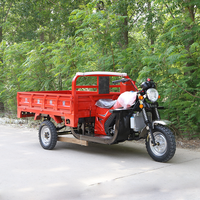 Tricycle à essence à trois roues à couple élevé avec boîte de chargement personnalisable pour le transport quotidien de marchandises