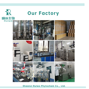 Bột chiết xuất mướp đắng bán buôn, thực phẩm bổ sung tự nhiên, chiết xuất mướp đắng - Product Image 6